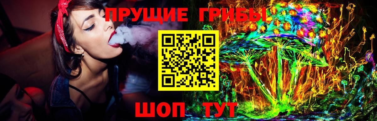 Псилоцибиновые грибы Psilocybine cubensis Кемерово