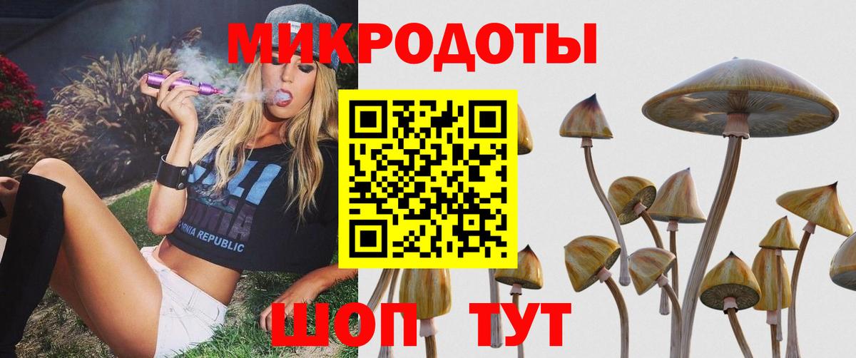 Кемерово  Галлюциногенные грибы мицелий  Вход с VPN 